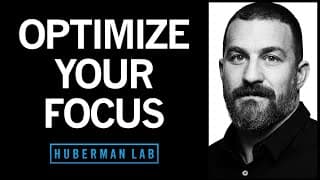 Focus Toolkit: Tools to Improve Focus